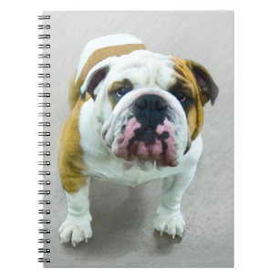 Carnet Bulldog Painting - Joli art original chien