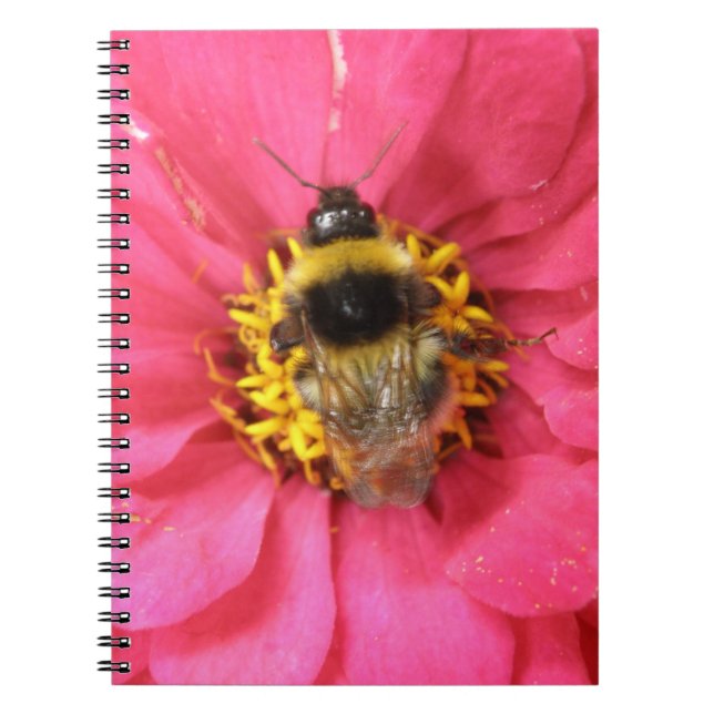 Carnet Bumblebee (Devant)