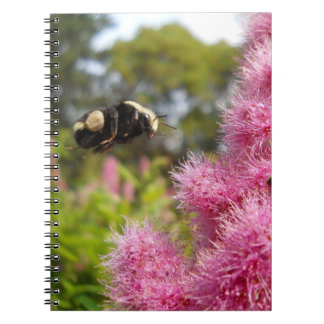 Carnet Bumblebee Flotte