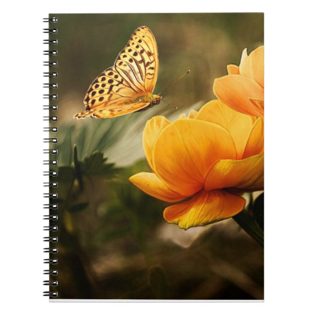 CARNET BUTTERFER (Devant)