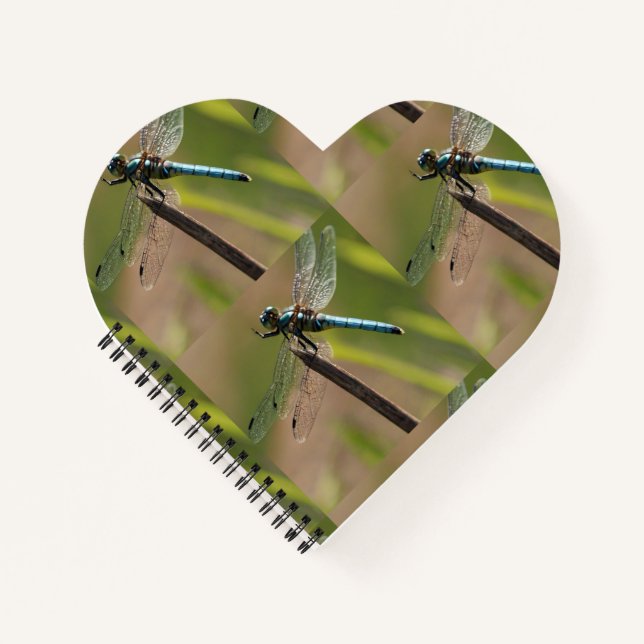 Carnet Buzz de l'amour (Devant)