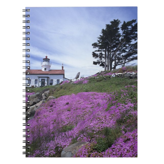 Carnet CA, Crescent City, phare de Battery Point avec (Devant)