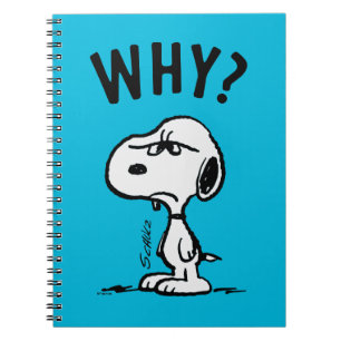 Carnet cacahuètes   Snoopy Se Demande Pourquoi ?
