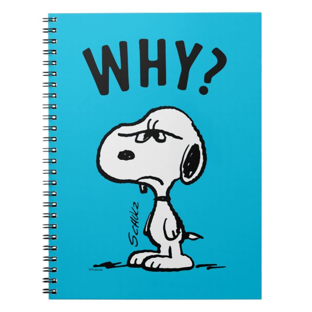 Carnet cacahuètes | Snoopy Se Demande Pourquoi ? (Devant)
