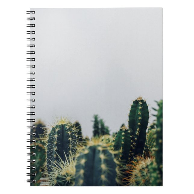 CARNET CACTI VERT (Devant)