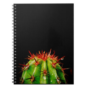 Carnet Cactus