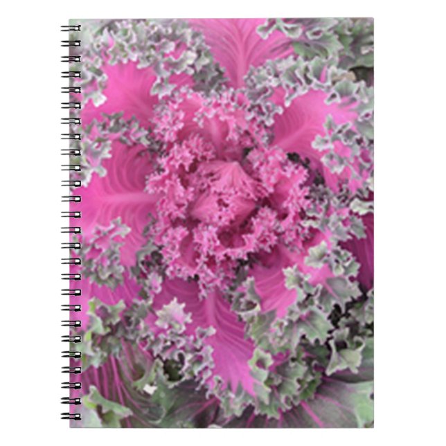 Carnet Cactus (Devant)