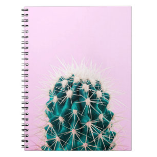 Carnet Cactus de Prickley sur le rose