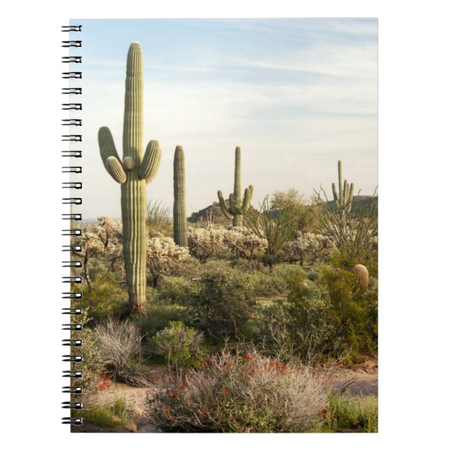 Carnet Cactus de Saguaro, Arizona, Etats-Unis (Devant)