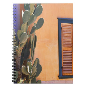 Carnet Cactus du sud-ouest (Opuntia dejecta) et