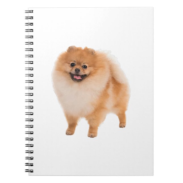 Carnet Cadeau de Chien Poméranie (Devant)