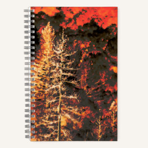 Carnet Cadeaux de feux de forêt pour pompiers