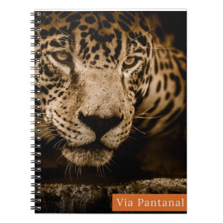 Carnet Caderno Via Pantanal Onça