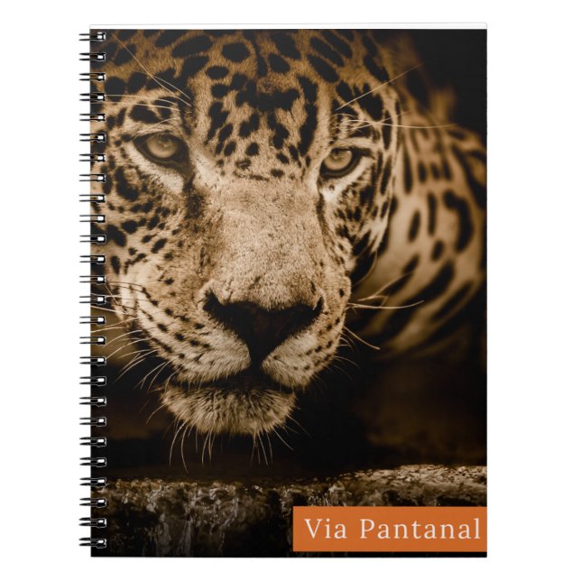 Carnet Caderno Via Pantanal Onça (Devant)