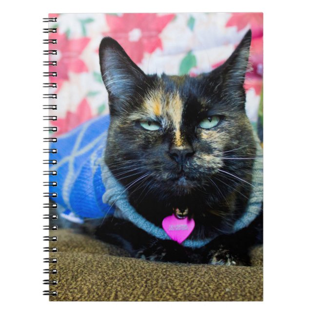 Carnet Calico Ier (Devant)