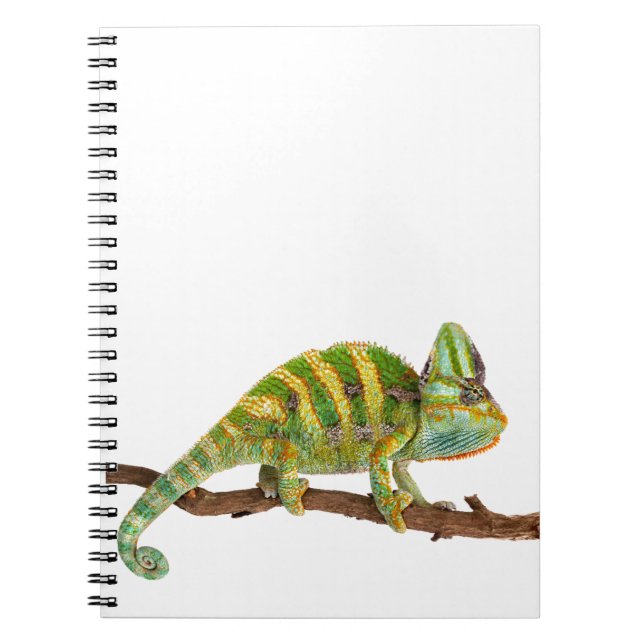 Carnet Caméléon (Devant)