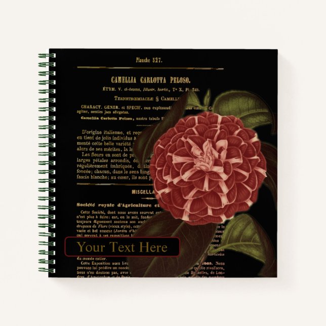 Carnet Camellia Carlotta Peloso Noir (Devant)