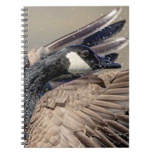 Carnet Canada Goose