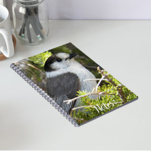 Carnet Canada Jay Nature Photo