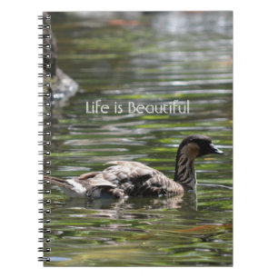 Carnet Canard de Kauai Hawaï (ma photographie)