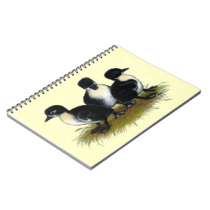 Carnet Canetons suédois noirs