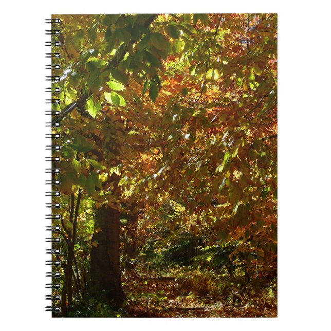 Carnet Canopée des Feuilles d'automne II Photographie d'a (Devant)