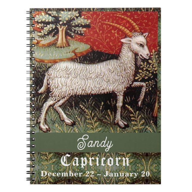 Carnet Capricorne chèvre signe Zodiac fête d'anniversaire (Devant)