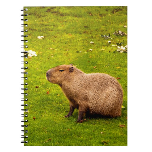 Carnet Capybara (Devant)
