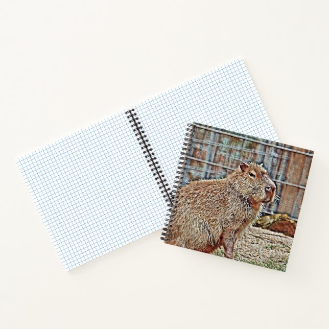Carnet Capybara (Intérieur)