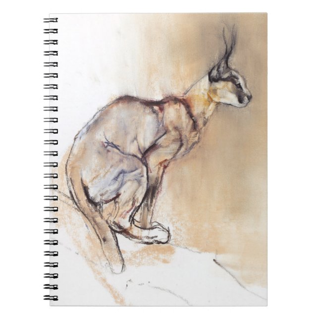 Carnet Caracal posé 2009 (Devant)