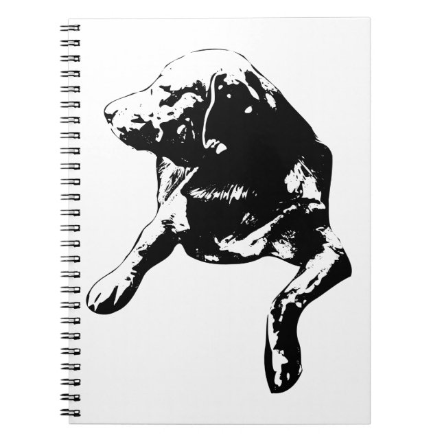 Carnet Card-Stack Companion, Notes de laboratoire (Devant)