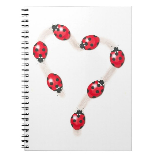 Carnet cardiaque de Ladybug (Devant)