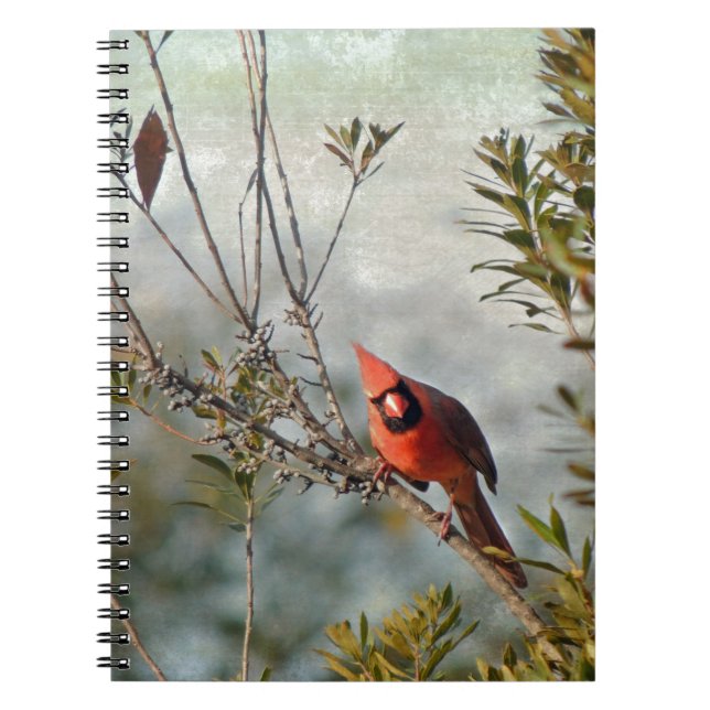 Carnet Cardinal de Wax Myrtle (Devant)
