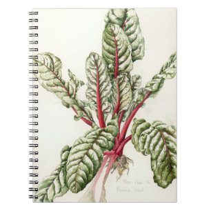 Carnet Cardon 1992 de rhubarbe