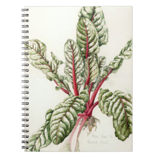 Carnet Cardon 1992 de rhubarbe