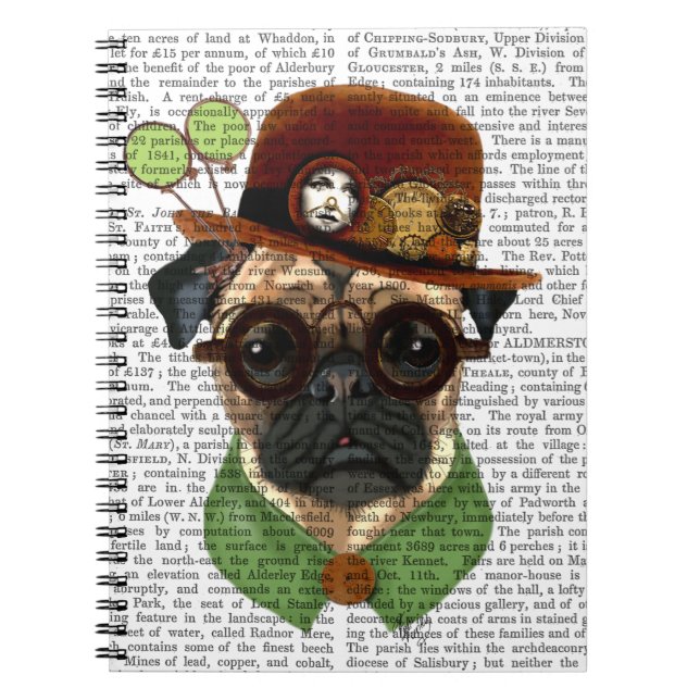 Carnet Carlin avec Casquette Steampunk Bowler (Devant)