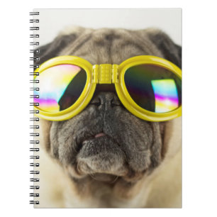 Carnet Carlin avec lunettes