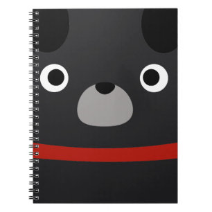 Carnet Carlin moche