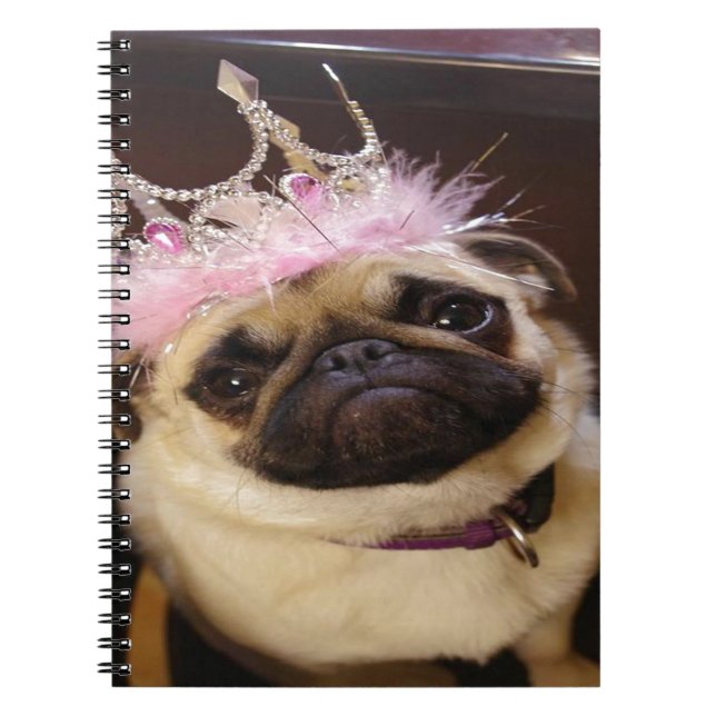 Carnet Carlin Princesse (Devant)
