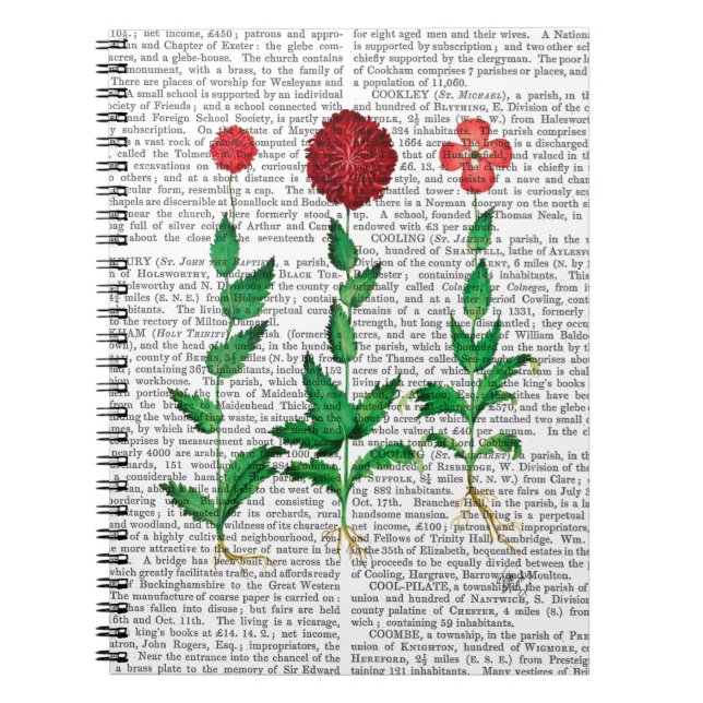 Carnet Carnation italienne 2 (Devant)