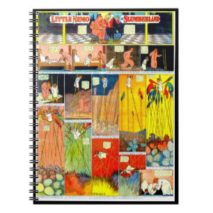 Carnet Carnet-Cru Bande-Petit Nemo 7