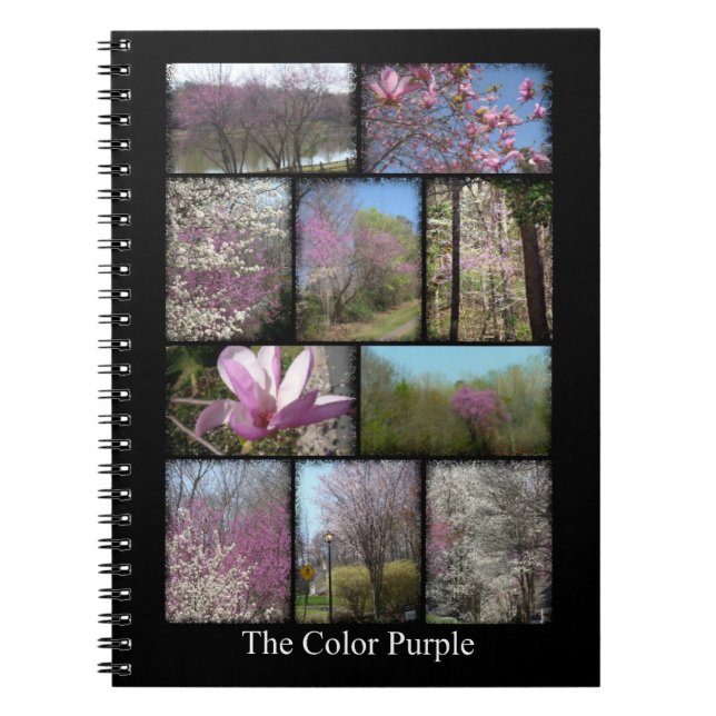 Carnet "Carnet du pourpre de couleur" (Devant)