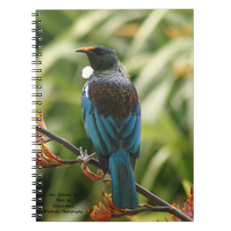 Carnet Carnet, oiseau de la Nouvelle Zélande Tui