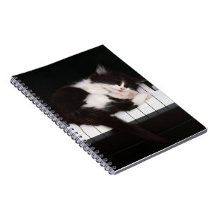 Carnet Carnet-Piano-Kitten