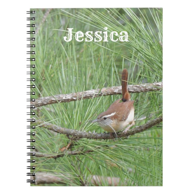Carnet Carolina Wren dans le pin (Devant)