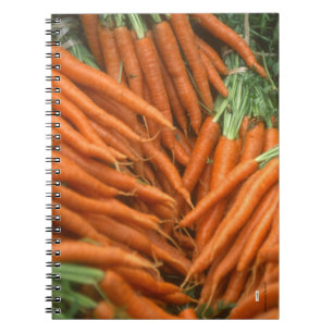 Carnet Carottes