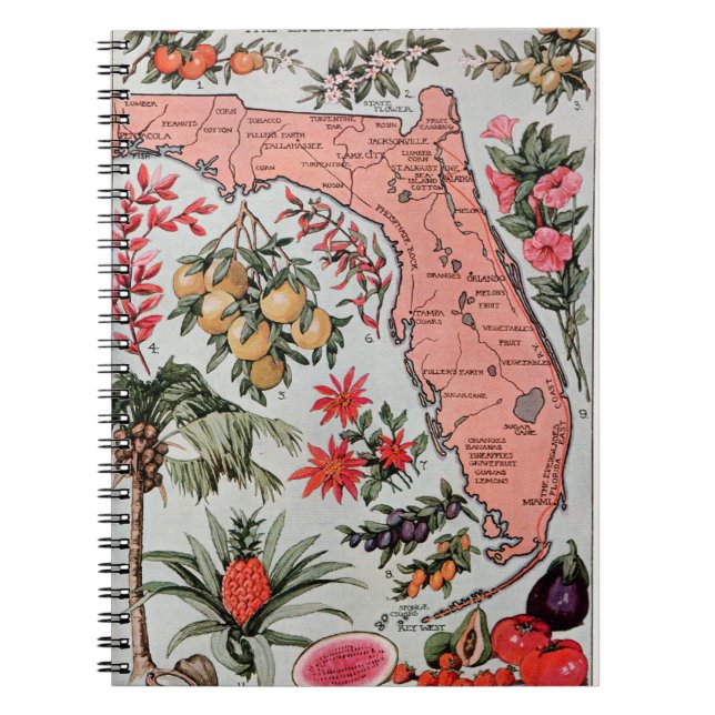 Carnet Carte de Floride vintage (Devant)
