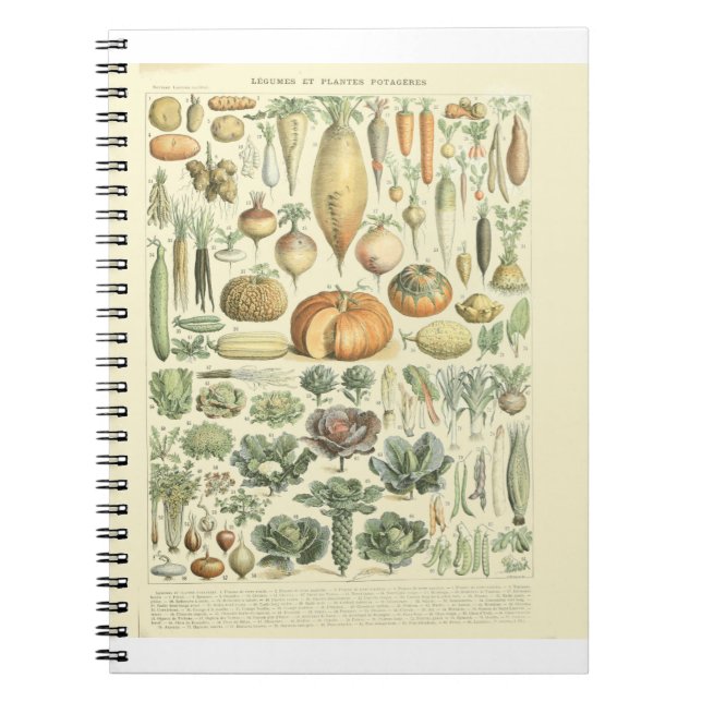 Carnet Carte d'identification des légumes (Devant)