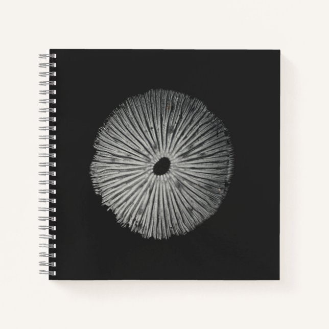 Carnet Carte Spore Print Note (Devant)