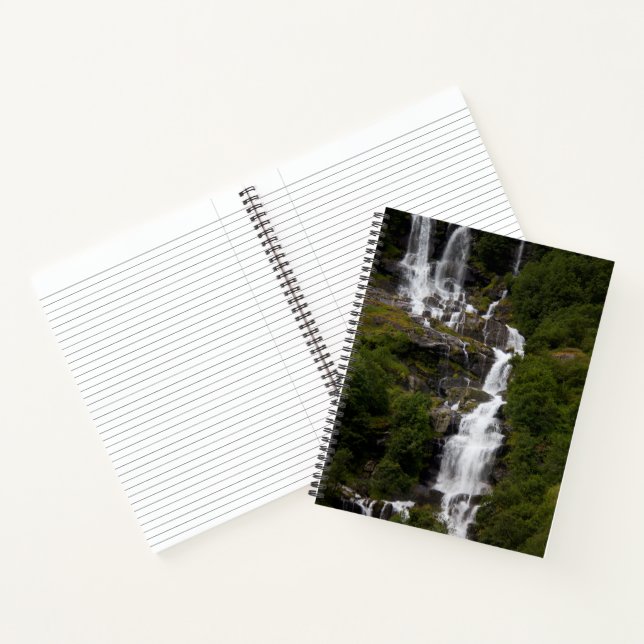 Carnet Cascade de Volefossen (Intérieur)